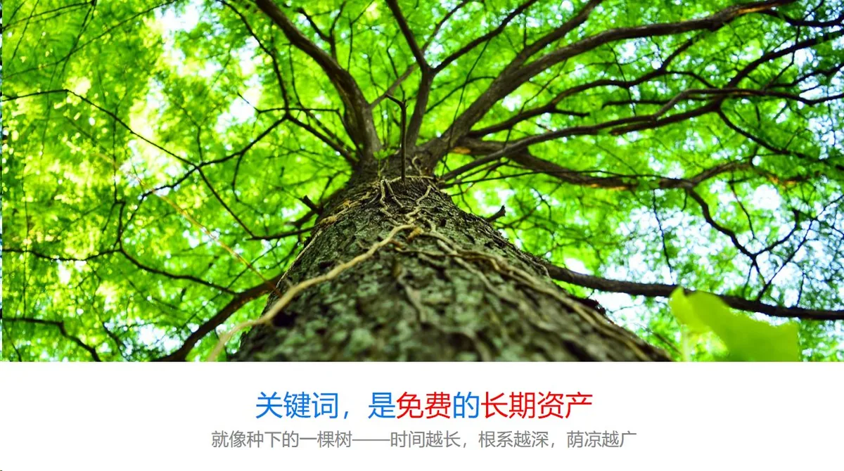关键词是免费的长期资产